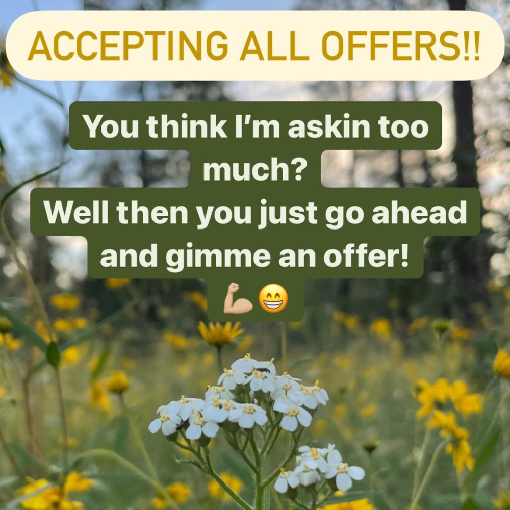 Accepting  Any & All Offers!